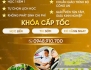 Học lái xe